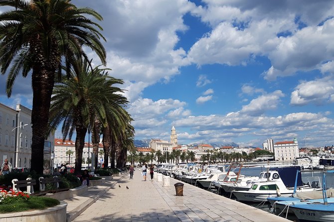 SPLIT-PRIVATE Walking Tour of Diocletian's Palace & Old Town - Key reasons to consider this private Split walk