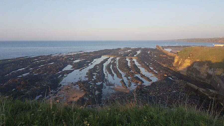 St Andrews: 90-Minute Historical Walking Tour - The Pends and St Andrews Harbour