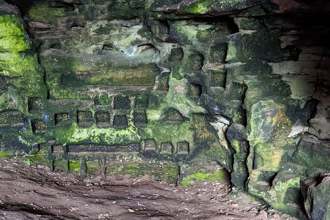 St Andrews, Fife Coast Walk & Historic Abbey Tour from Edinburgh - Guides, vehicles, and group atmosphere