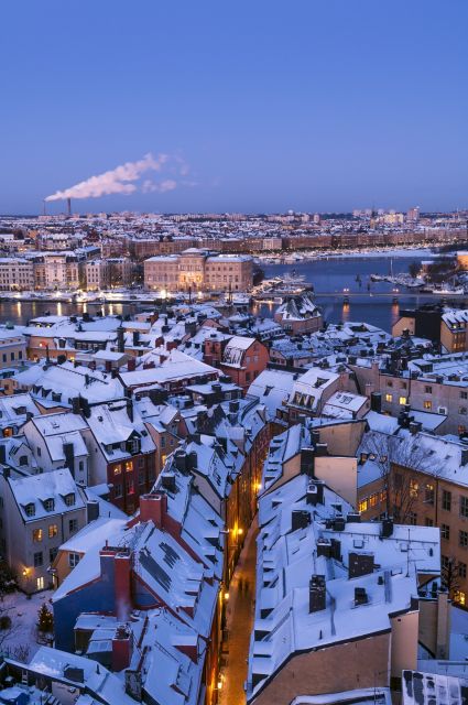 Stockholm: Old Town Historical Walking Tour, small group - The Royal Palace and Sweden’s monarchs
