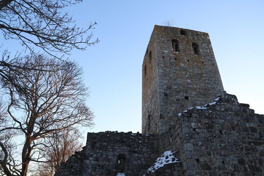 Stockholm: Sigtuna and Uppsala Viking History Day Tour - Key points to know before booking