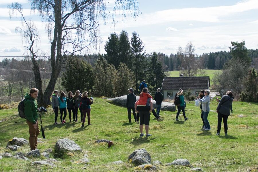 Stockholm: Sigtuna and Uppsala Viking History Day Tour - Why this Stockholm Viking tour works