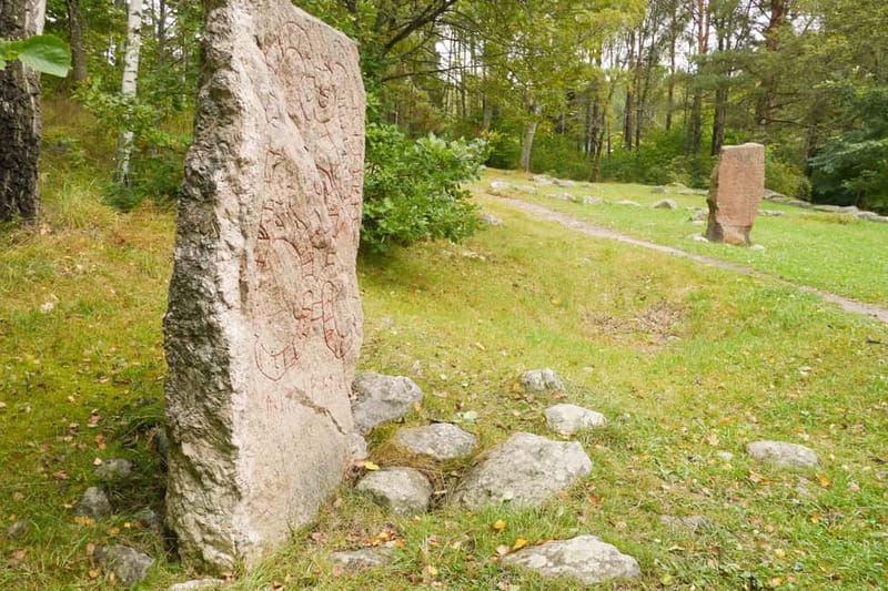 Stockholm Viking History Full Day Tour to Sigtuna + Uppsala - Key points to know before booking