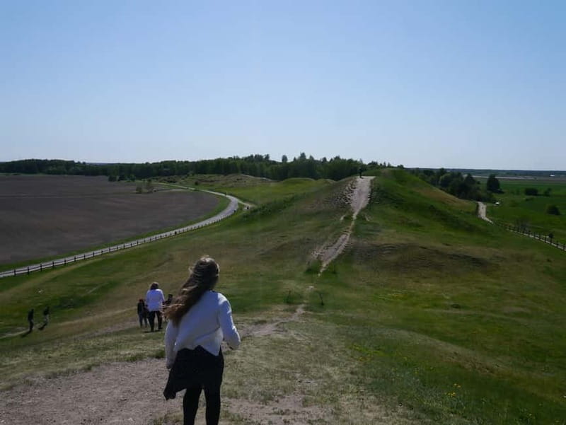 Stockholm Viking History Full Day Tour to Sigtuna + Uppsala - Uppsala Cathedral and the modern city