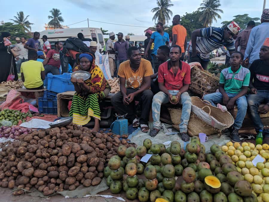 Stonetown Historical Walking Tour & Traditional Lunch - Is $60 a fair price?
