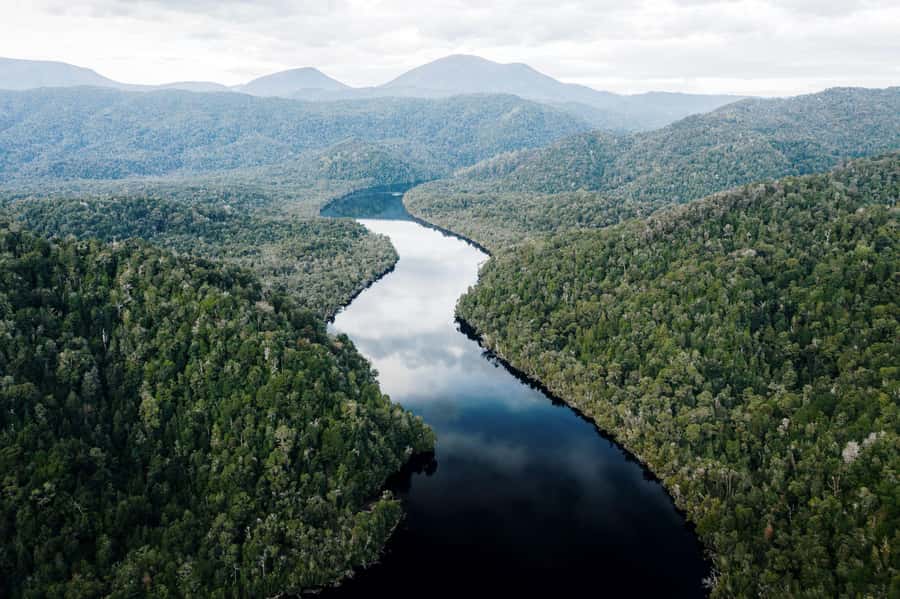 Strahan: World Heritage Cruise on Gordon River with Lunch - The Boat, Seating, and Best Views