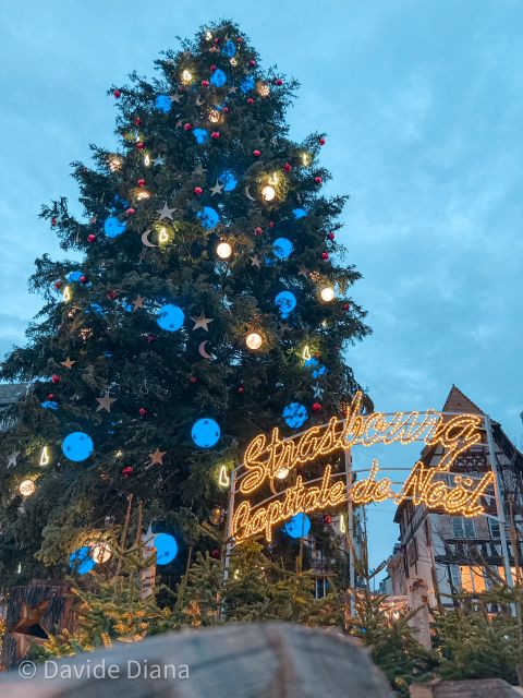 Strasbourg: Guided Historical Neighborhoods Walking Tour - Price, timing, and practical comfort