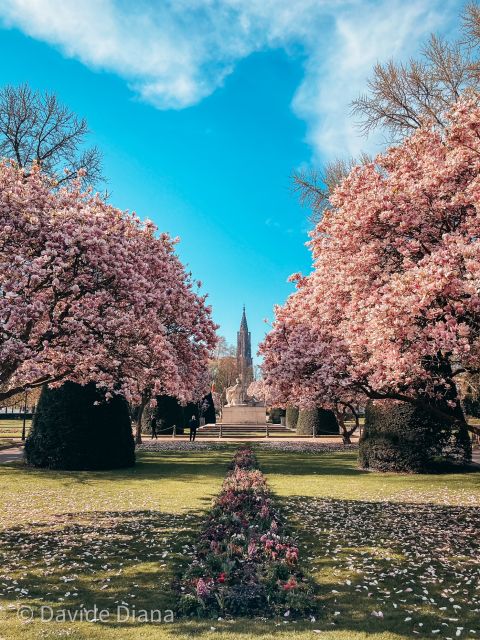 Strasbourg: Guided Historical Neighborhoods Walking Tour - Why this Strasbourg walk works well for a first visit