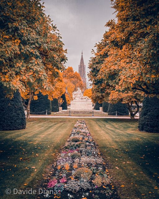 Strasbourg: Guided Historical Neighborhoods Walking Tour - The guide’s style and the value of a small group
