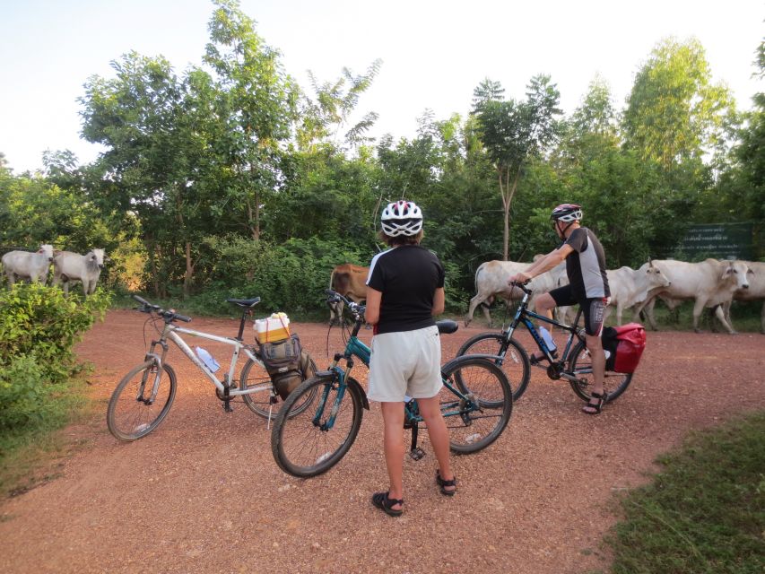 Sukhothai: Historical Park & Countryside Cycling Tour - Ban Khuai and the Rice Paddies
