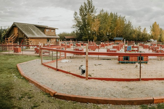 Summer Kennel Visit at Historic Trail Breaker Kennel - Quick takeaways from the kennel visit