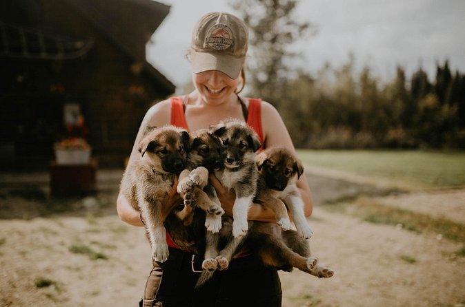 Summer Kennel Visit at Historic Trail Breaker Kennel - Timing, transportation, and cancellation details