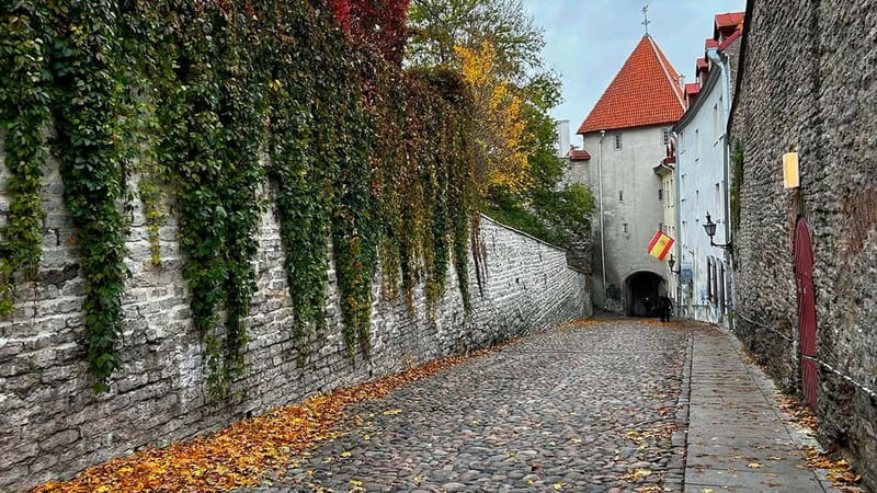 Tallinn: Guided Old Town Historical Walking Tour - The Town Hall Pharmacy and a return to the square