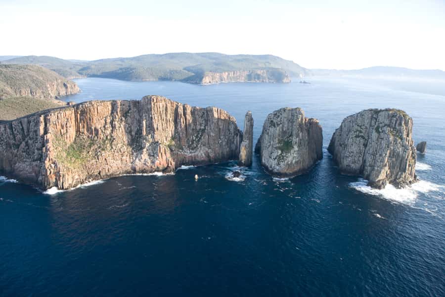 Tasman Peninsula Tour, Cruise & Port Arthur Historic Site - Wildlife sightings depend on the day