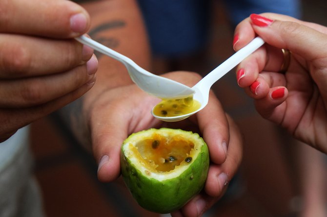 Taste Funchal: food, wine & cultural tour - Why This Tour Works Well on Your First Day