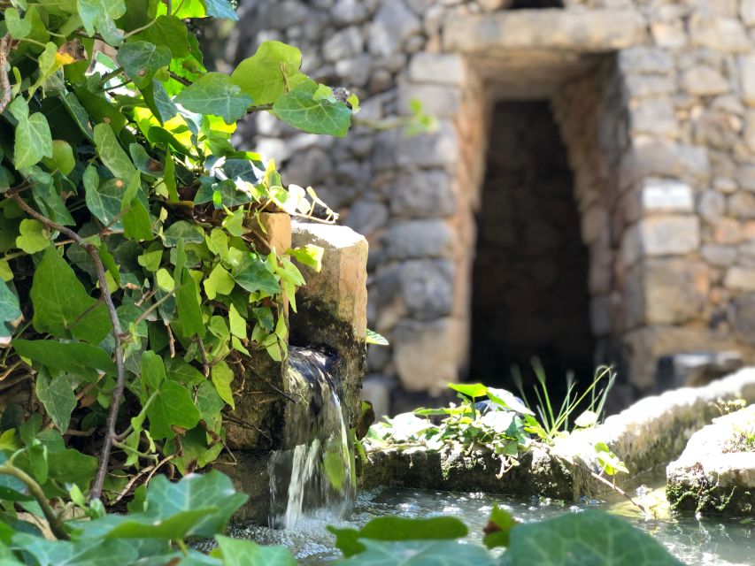 The Limestone Heritage Park and Gardens (Entry Ticket) - Key things to know before you go