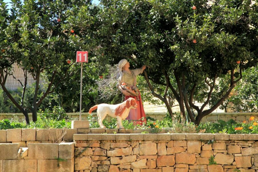 The Limestone Heritage Park and Gardens (Entry Ticket) - Taking a break in the citrus garden