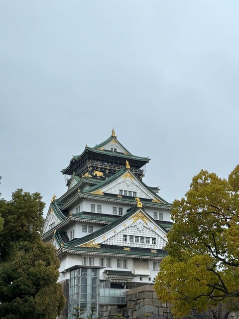 (Ticket Included) Explore Osaka Castle & Museum of History - Two tour choices, two very different mornings
