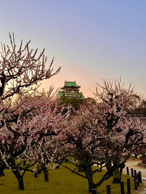 (Ticket Included) Explore Osaka Castle & Museum of History - Osaka Castle is your self-guided finish