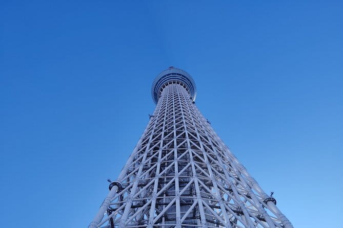 Tokyo Castle & Imperial PalaceーShogun Walking Tour - Edo Castle ruins and the lost palace