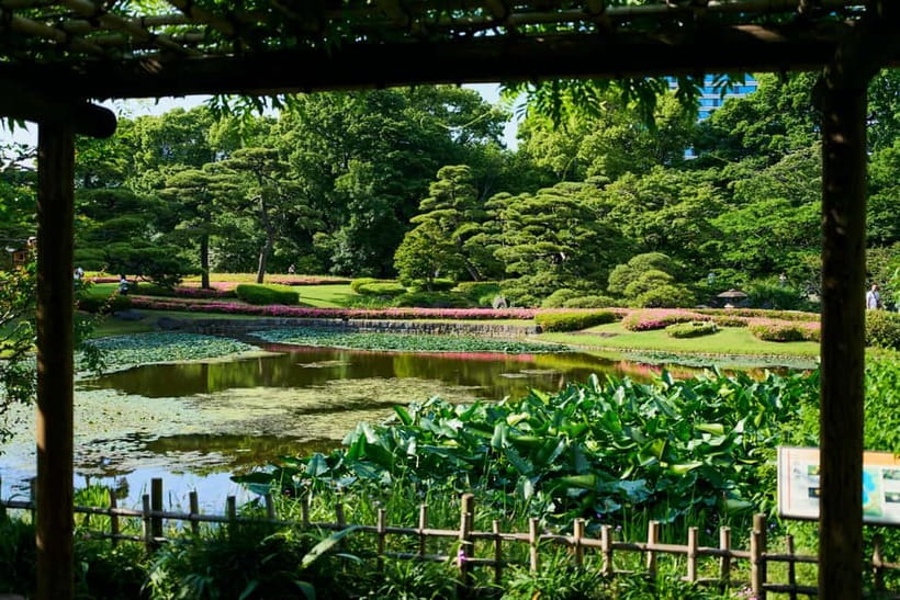 Tokyo Castle & Imperial PalaceーShogun Walking Tour - The guides are the main reason to book