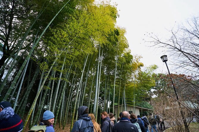 Tokyo Castle & Imperial PalaceーShogun Walking Tour - Meeting at Wadakura Fountain Park