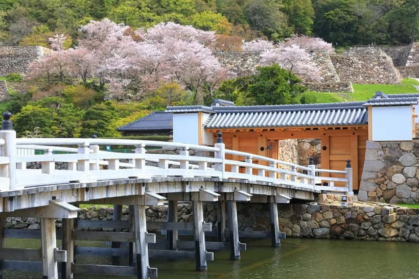 Tokyo: Edo Castle & East Garden of the Imperial Palace Tour - Who will enjoy this walk most?