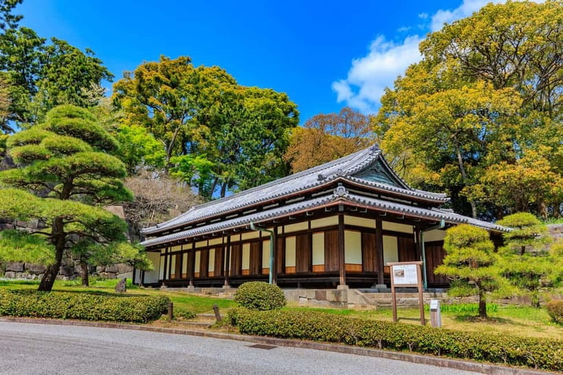 Tokyo: Edo Castle & East Garden of the Imperial Palace Tour - The koi and smaller garden details