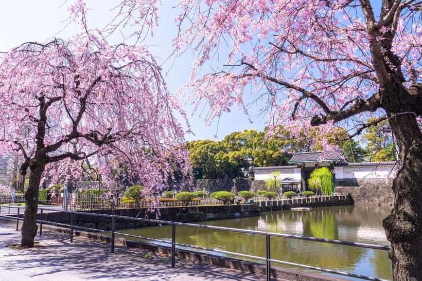 Tokyo: Edo Castle & East Garden of the Imperial Palace Tour - What you do not see