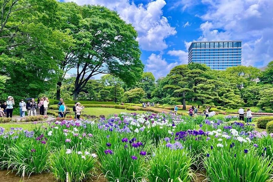 Tokyo: Edo Castle & East Garden of the Imperial Palace Tour - Is $42 a fair price?