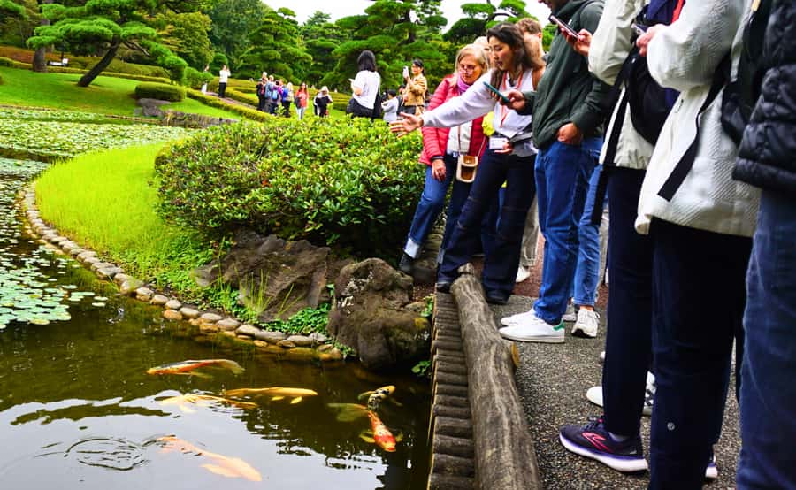 Tokyo: Imperial Palace Japanese History Walking Tour - Why Edo Castle Is the Right Place to Start