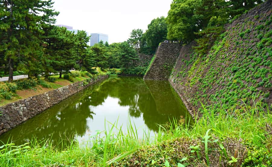 Tokyo: Imperial Palace Japanese History Walking Tour - Should You Book the Imperial Palace Walk?
