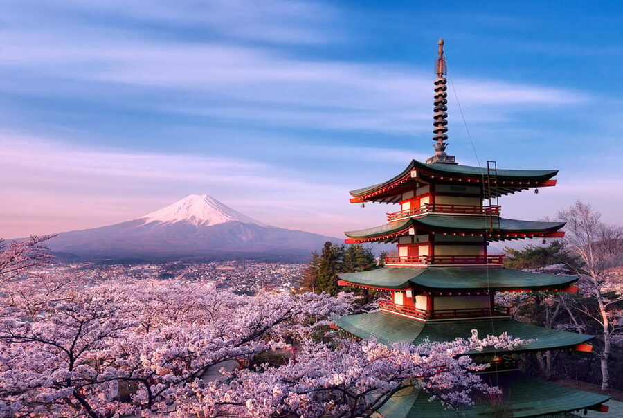 Tokyo: Mount Fuji Private Full-Day Trip with Hotel Pickup - Mount Fuji 5th Station: the highest viewpoint