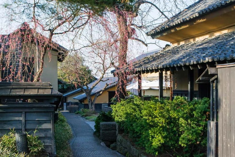 Tokyo: Nagano Snow Monkeys and Zenkoji Tour with Temples - Obuse brings food, art, and small-town character