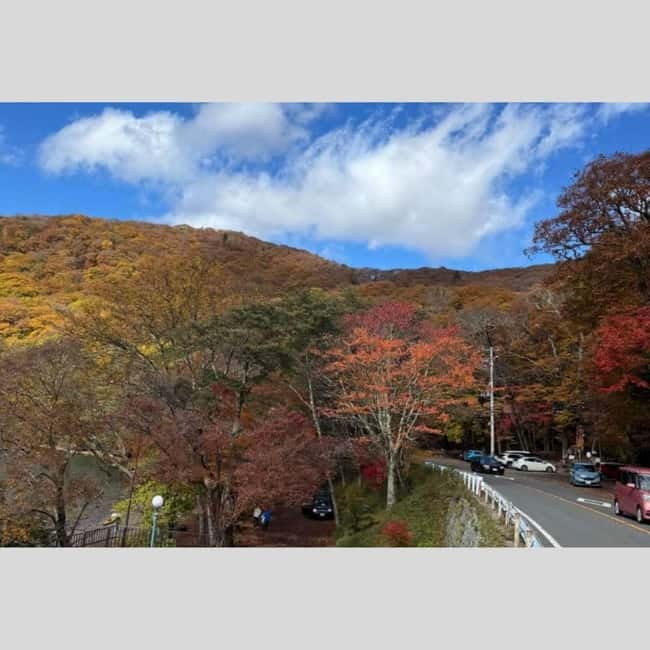 Tokyo: Nikko World Heritage Private Day Trip Hotel Pick-up - Key points to know before booking