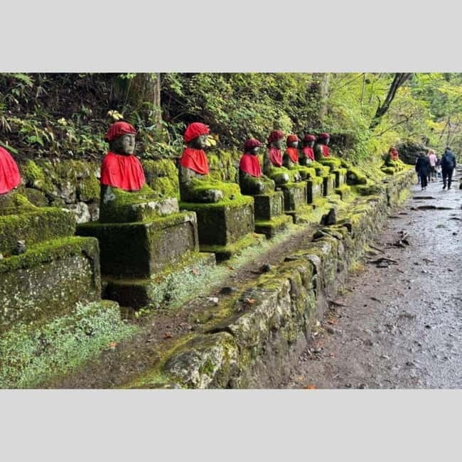 Tokyo: Nikko World Heritage Private Day Trip Hotel Pick-up - Why Nikko makes a strong day trip from Tokyo