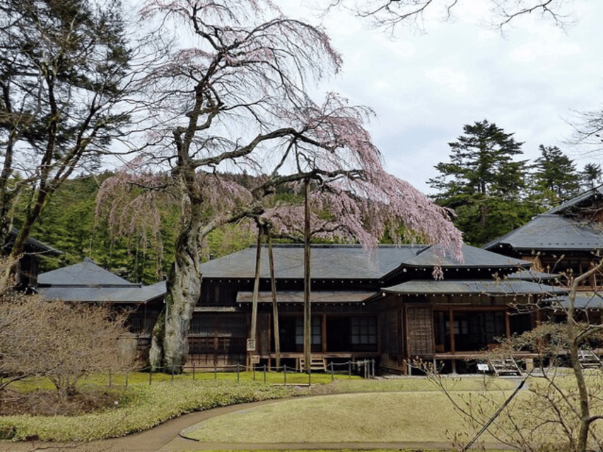 Tokyo: Nikko World Heritage Private Day Trip Hotel Pick-up - Toshogu Shrine and Tokugawa power