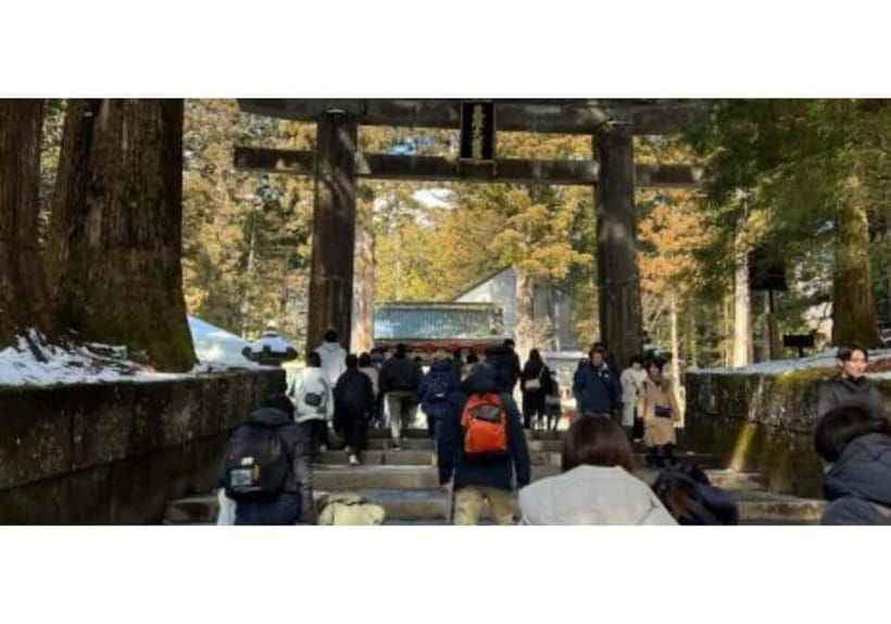Tokyo: Nikko World Heritage Private Day Trip Hotel Pick-up - Hotel pickup and the long ride north