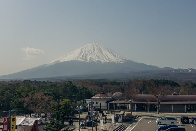 Tokyo: Shinjuku Historical Walking Tour & Secret Backstreets - The pace, weather, and practical side