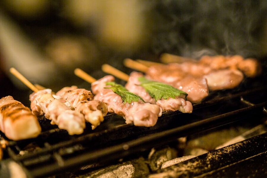 Tokyo: The Best of Izakaya in Shinjuku Food & Cultural Tour - Omoide Yokocho and Kabukicho after dark