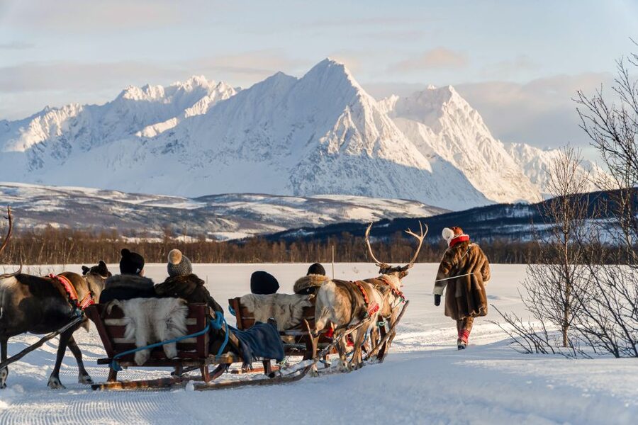 Tromsø: Sámi Reindeer Sledding and Sami Cultural Tour - Key points to know before you book