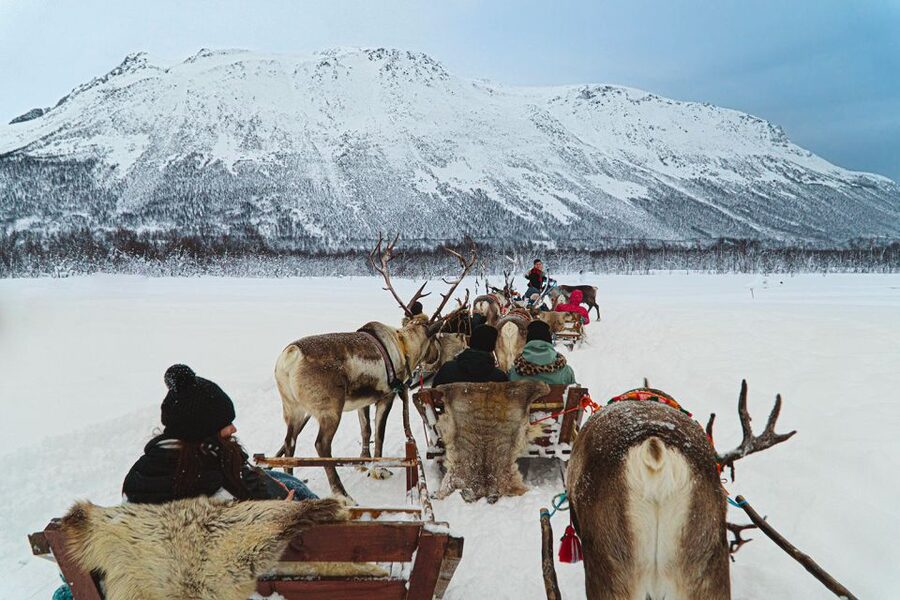 Tromsø: Sámi Reindeer Sledding and Sami Cultural Tour - Food, fires, and a warm place to listen