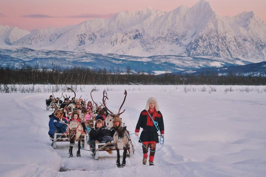 Tromsø: Sámi Reindeer Sledding and Sami Cultural Tour - Is $230 a fair price?