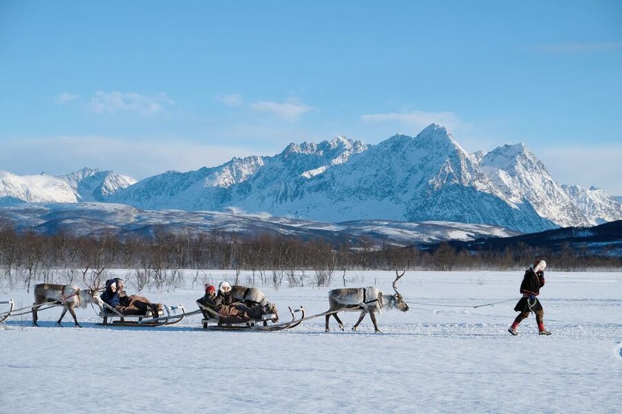 Tromsø: Sámi Reindeer Sledding and Sami Cultural Tour - Should you book the Tromsø Sámi reindeer tour?