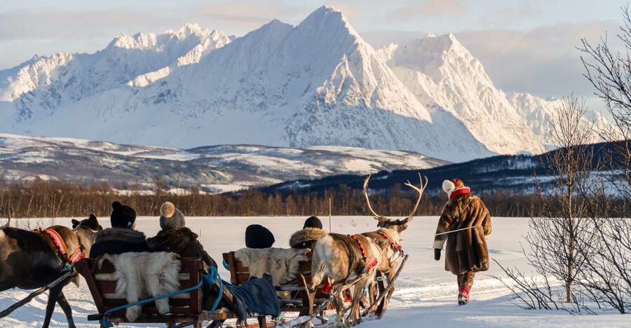 Tromsø: Sámi Reindeer Sledding and Sami Cultural Tour - Meeting the herd beside the Sámi camp