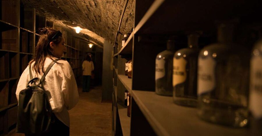 Vienna: Historical Pharmacy Cellar Guided Tour - Entering Through The Schutzengel Apotheke