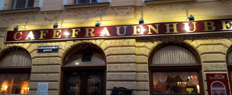 Vienna: historical tours with locals in the unknown City, - A guide-led walk with a human touch
