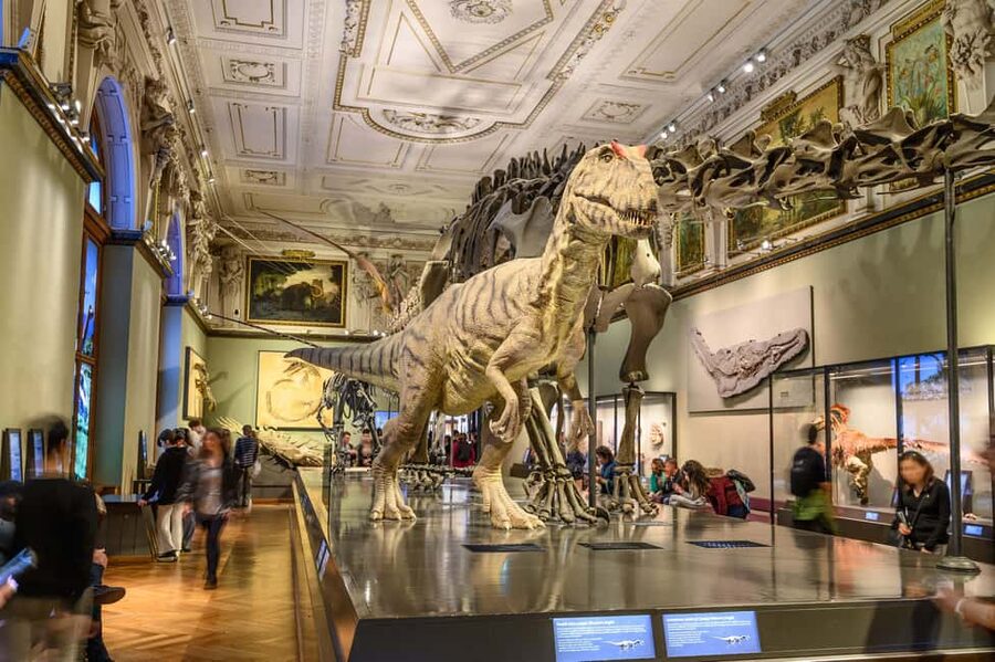 Vienna: Ticket to the Museum of Natural History - Entering Vienna’s Natural History Palace