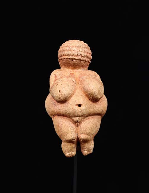 Vienna: Ticket to the Museum of Natural History - Meeting the Venus of Willendorf