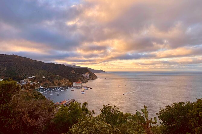 Walking History Tour on Catalina Island - What the guide adds to the experience